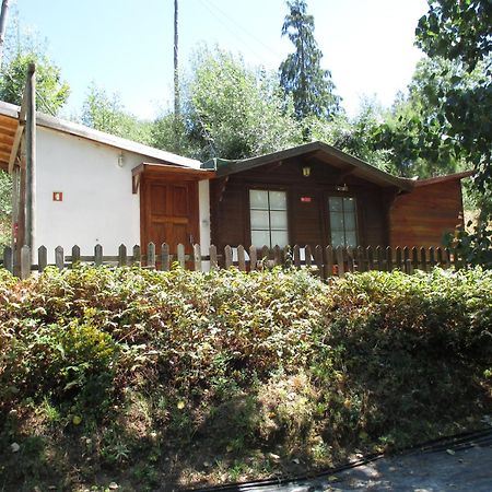 Bungalow "A Choupana" - Quinta Da Carvoica - Vale Pradinhos Vale de Pradinhos Exteriér fotografie