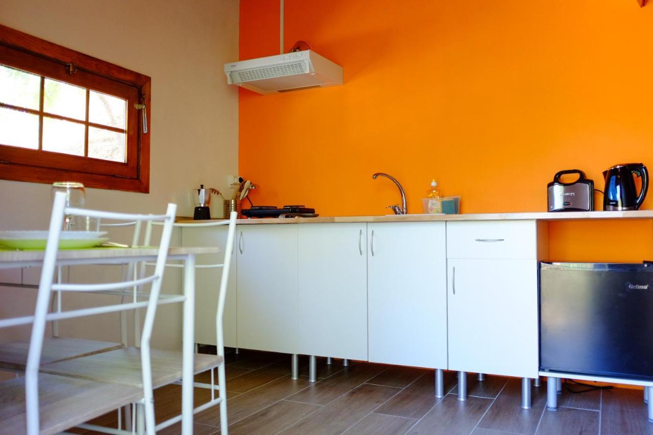 Bungalow "A Choupana" - Quinta Da Carvoica - Vale Pradinhos Vale de Pradinhos Exteriér fotografie