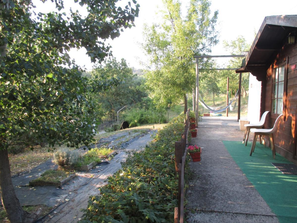 Bungalow "A Choupana" - Quinta Da Carvoica - Vale Pradinhos Vale de Pradinhos Exteriér fotografie
