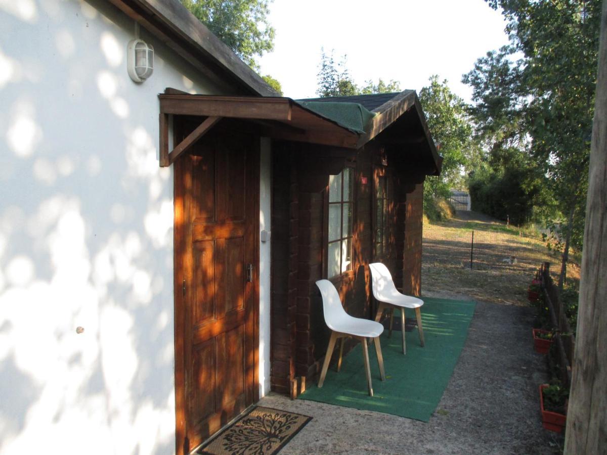 Bungalow "A Choupana" - Quinta Da Carvoica - Vale Pradinhos Vale de Pradinhos Exteriér fotografie