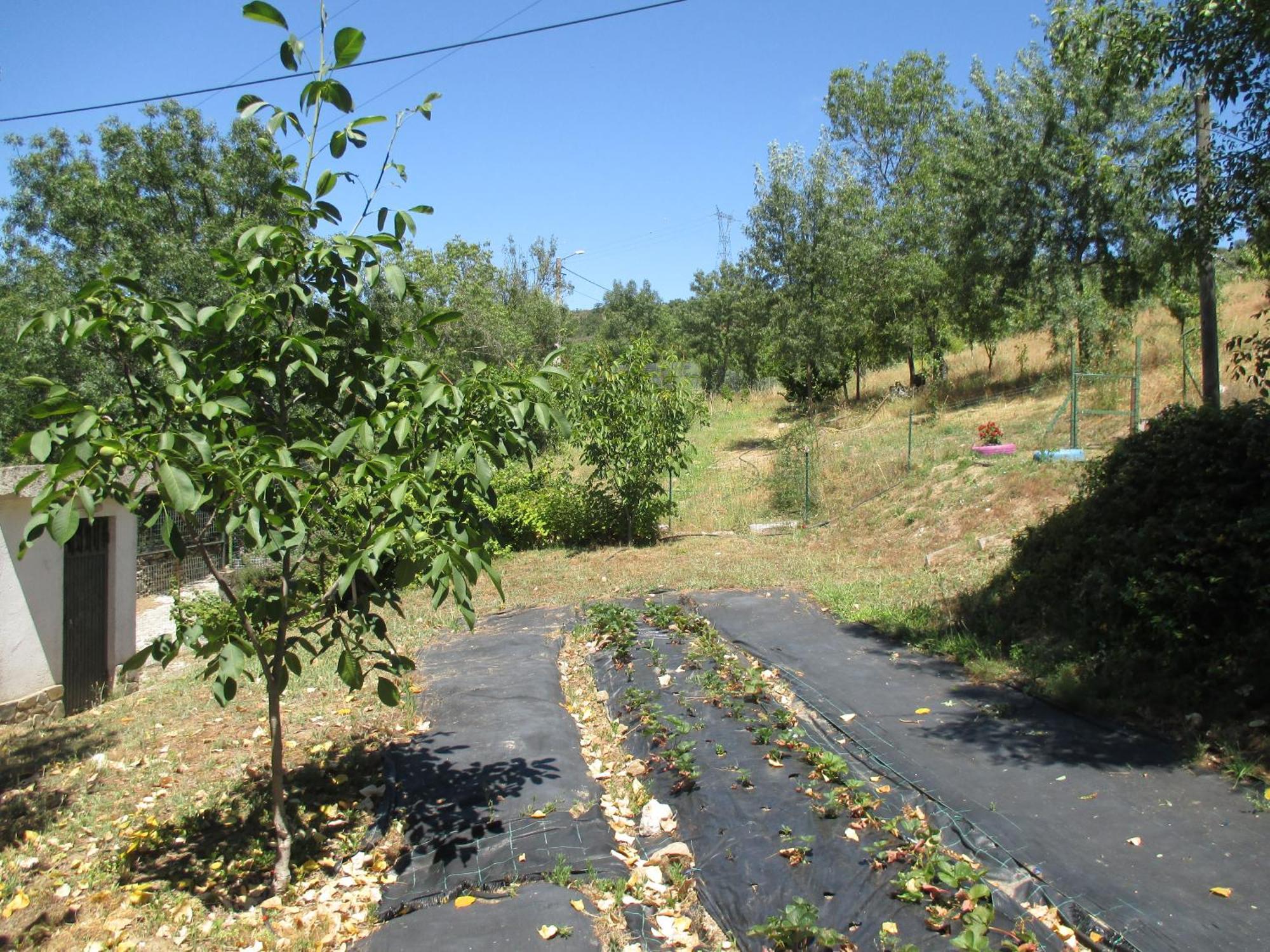 Bungalow "A Choupana" - Quinta Da Carvoica - Vale Pradinhos Vale de Pradinhos Exteriér fotografie