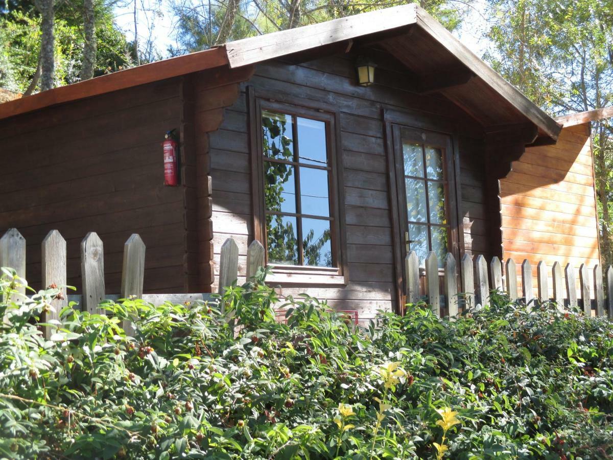 Bungalow "A Choupana" - Quinta Da Carvoica - Vale Pradinhos Vale de Pradinhos Exteriér fotografie